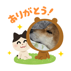 yuka_20260715014310