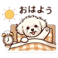 Toy Poodle Syrup_20260714204124