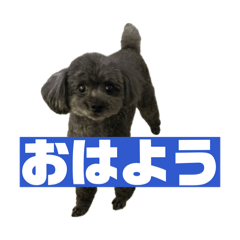 Choco_001