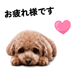 momo_20260714172136