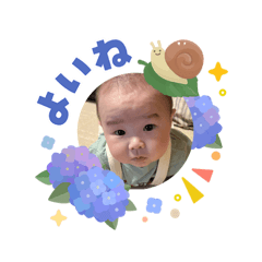 yuuka202606