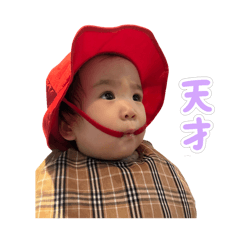 Momo_20260715120052