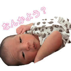 momo_20260715130404