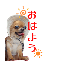 Mayu_20260715174322