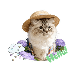 Sebastianchuchu AI Cat YT Channel IX
