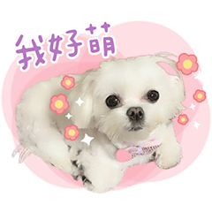 Nini's Fantasy World