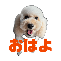yuka_20260714202916