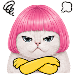 White Cat Bob Pink Hands So Cute