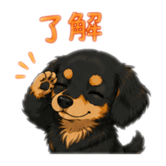 yuka_20260714173024