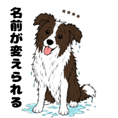 名前入りボーダーコリーブラウン②