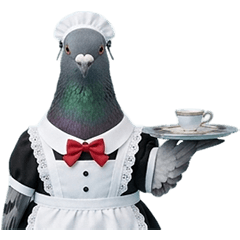 メイドの鳩さん❤️