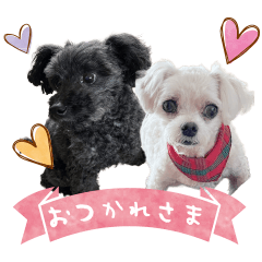 CoromaruYuzumaru's Sticker