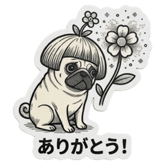Flower Bob-Cut Pug