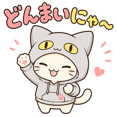 Nekomin the Hoodie Cat