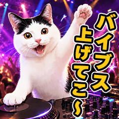 DJ Black and White Cat Daily Fun Chat.