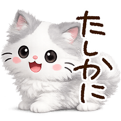 Hachiware Siberian