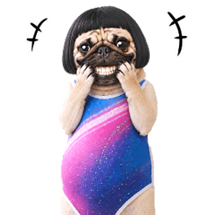 Move Funny Pug(Dog) 3