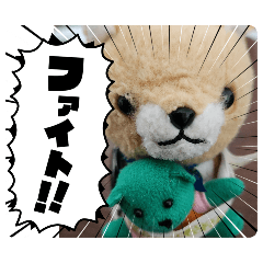 koinu to koguma