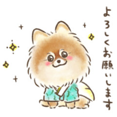 ポメラニアンのはに丸くん
