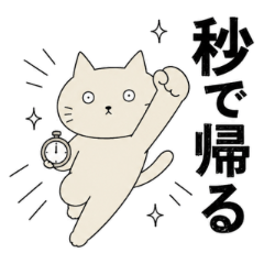 Cat Return Home Updates