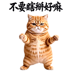 Dance Mania - Q Orange Cat RE (FS)