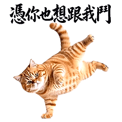 動感舞喵 - 橘貓舞力全開嗆爆版