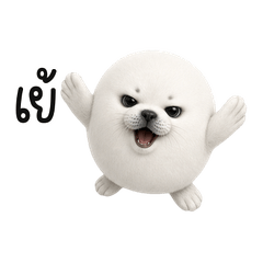 Mochi Seal, the Tiny Grump