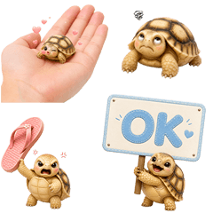 Little Sulcata tortoise