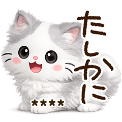 長毛ハチワレ【カスタム】