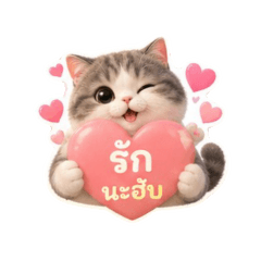 แมวอ้วน อ้อนเก่ง
