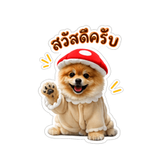 Numchock_20260509123606