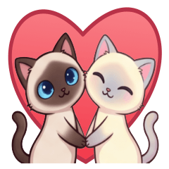 Mocha & Latte: Siamese Kitten Daily