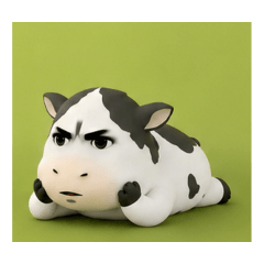 Sokih the cow
