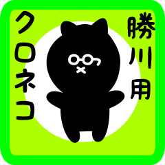 black cat sticker for katigawa