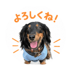 YUKA_20260715125026