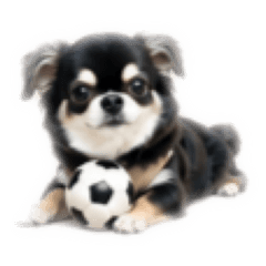 momo_20260715125447