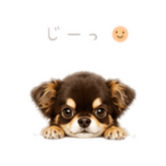 momo_20260715210450