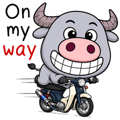 Naughty Buffalo (ENG)
