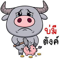 Naughty Buffalo (Kum-muang)