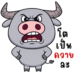 ควายจอมป่วน (บิ๊กสติกเกอร์)