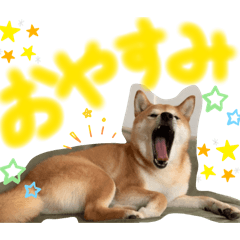 MAYU_20260715132247