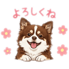 saya_20260715204500