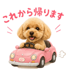 HANA_20260715151843