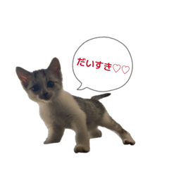 mayu_20260715233337