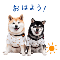 mayu_20260716023906