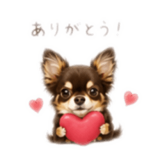 momo_20260715210124