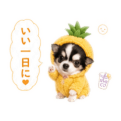 momo_20260716121739