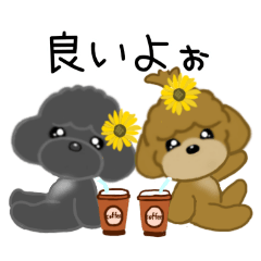 BBコンビ2026夏