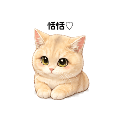 Tian Tian Cat_20260613022838
