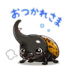 ヘラクレスオオカブト君